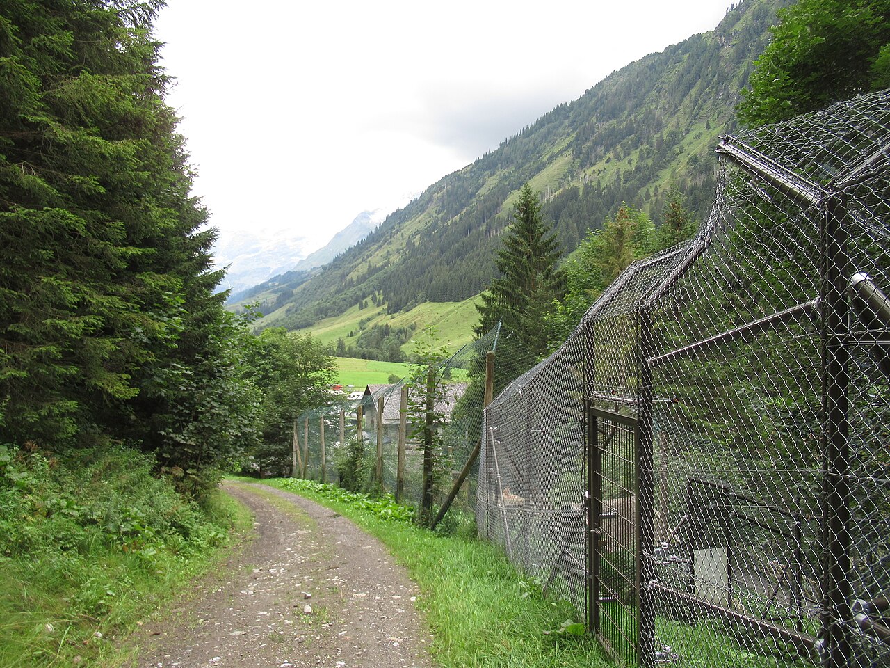 Im Wildpark Ferleiten