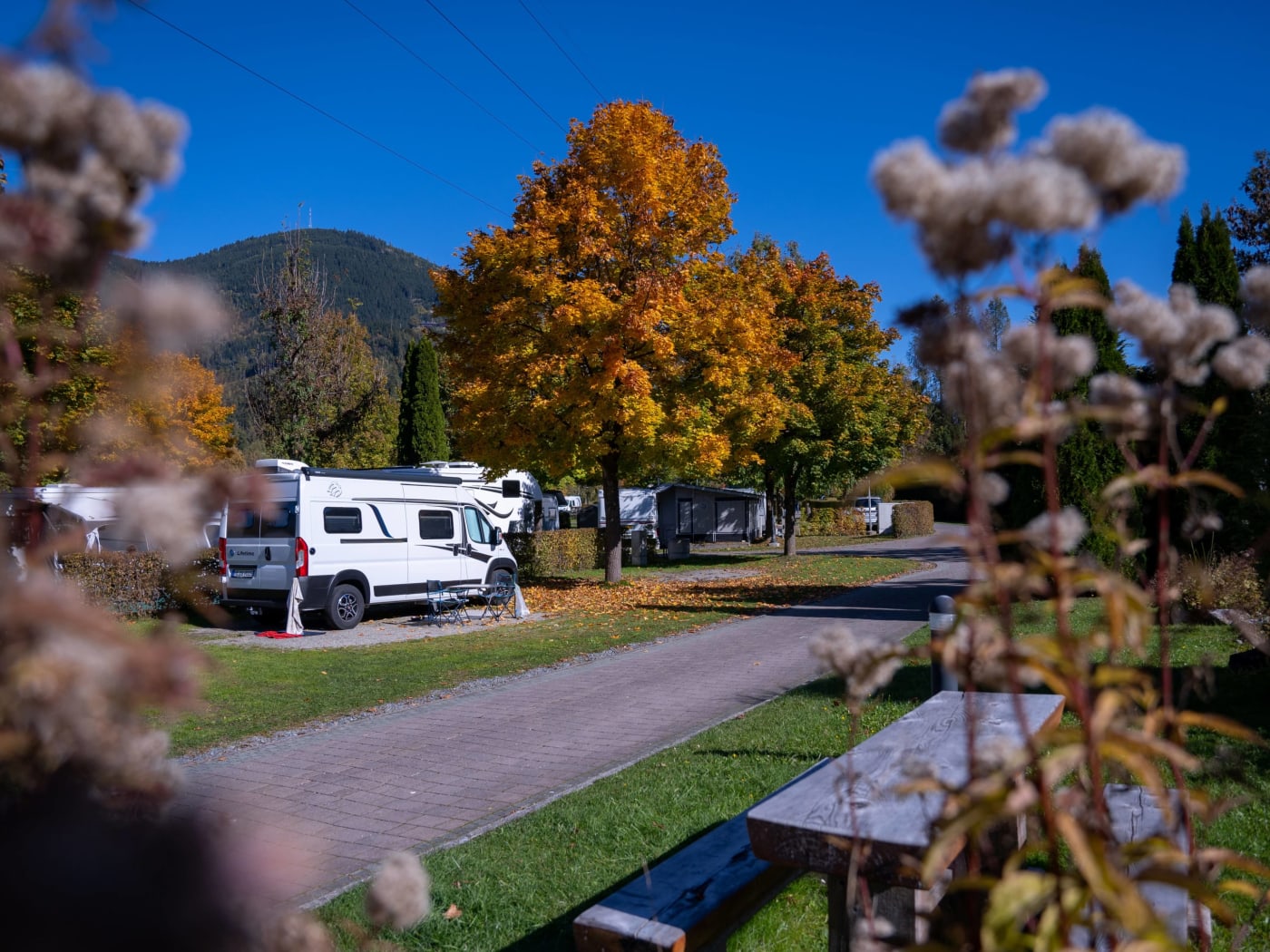 Campingbus auf einem Stellplatz unter bunten Bäumen